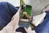 MuchoWow® Handyhülle Schutzhülle Hülle für iPhone 12 Pro Produktbild-Vorschau 3