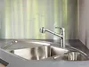 Hansa Hansapinto Küchenarmatur mit Geschirrbrause Produktbild-Vorschau 4