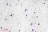 Calitti - Lettiera per gatti ai silicati | Lettiera Anteprima dell’immagine prodotto 2