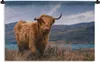 MuchoWow® Wandteppich Wandbehang Schottische Hochlandrind - Produktbild-Vorschau 1