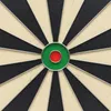 Kings Dart Steeldartscheibe "Professional HD" Produktbild-Vorschau 4