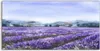 Coloray Acrylbild 140x70  Wandbild Acrylbilder Foto groß Produktbild-Vorschau 1