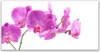 Tulup Leinwand-Bilder 140x70 Wandbild Canvas Kunstdruck Produktbild-Vorschau 1