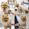 Purlov Hundeschermaschine 23186 Produktbild-Vorschau 3