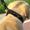 INF Lederhalsband für Haustiere mit AirTag-Halterung L Produktbild-Vorschau 2