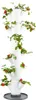 Gusta Garden Sissi Strawberry Classic, Vertikale Produktbild-Vorschau 1