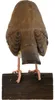 WILDLIFEGARDEN Wildlife Garden WG4404 DecoBird Rouge-gorge Voir les images du produit 7
