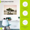 ARTland Poster Chinesischer Bonsaibaum Größe: 40x30 cm Produktbild-Vorschau 3