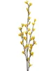 Forsythien-Zweig Produktbild-Vorschau 2