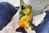 MuchoWow® Handyhülle Schutzhülle Hülle für iPhone 12 Pro Produktbild-Vorschau 3