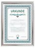 2er 3er 5er 10er Pack Dokument Bilderrahmen 21x29,7 DIN A4 Produktbild-Vorschau 2