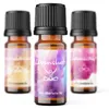 Corasol Premium Wellness Duftöl Adventskalender mit 24 Produktbild-Vorschau 2