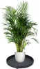 Pot de fleur mobile sur roulettes pour la maison et le Voir les images du produit 12