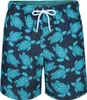 RIPT Essentials - Short de bain pour homme PB260 (M) (bleu Voir les images du produit 1