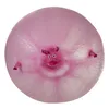 Ballon animalier Massamarkt jusqu'à 25 cm Voir les images du produit 4