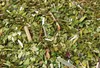 Čaj Yerba Mate Green Lemon 1 kg - Brazilský zelený čaj Náhled obrázku produktu 5