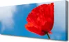 Tulup Leinwand-Bilder 125x50 Wandbild Canvas Kunstdruck Produktbild-Vorschau 1
