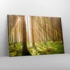 Bild auf Leinwand - Leinwandbild - Bäume Sonne Natur - Produktbild-Vorschau 4