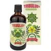 Cvetita Herbal | Tribulus + Ginkgo Produktbild-Vorschau 1