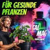 HOMEGROW24 CalMag Magnesium Calcium Dünger für Tomaten Hanf Produktbild-Vorschau 2