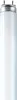 A close-up shot of a fluorescent light bulb. Anteprima dell’immagine prodotto