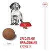 Royal Canin Medium Puppy, Štěně, Střední (11 - 25kg), Náhled obrázku produktu 17