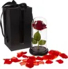 MT MALATEC Rose éternelle en verre Lumière LED Boîte cadeau Voir les images du produit 11