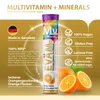 EVÄM Multivitamin + Mineralien Brausetabletten – 12in1 aus Produktbild-Vorschau 13