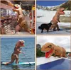 Aufblasbare T-rex Kostüme Aufblasbare Dinosaurier Kostüm Produktbild-Vorschau 8