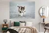 MuchoWow® Poster Husky-Welpe läuft über die Straße 180x120 Produktbild-Vorschau 4