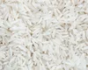 [ 20kg ] GOLDEN EAGLE Langkornreis / Long grain Rice / Produktbild-Vorschau 3