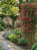 SET 3x Rankgitter 150 x 36 cm Rost - Rankhilfe Garten - Produktbild-Vorschau 4