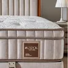 Bambi Boxspringbett 160x200 mit Bettkasten mit Matratzen Produktbild-Vorschau 15