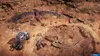 GAME Expeditions: A MudRunner, Nintendo Switch Produktbild-Vorschau 3