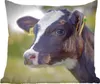 MuchoWow® Zierkissen Sofakissen Wohnzimmer Dekokissen 40x40 Produktbild-Vorschau 1