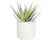 elho b.for Soft Rund 18cm Übertopf - weiss Produktbild-Vorschau 14