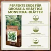 Green Home Monstera Erde 72 L – Substrat für Fensterblatt, Produktbild-Vorschau 2