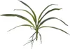 EUROPALMS List orchideje (EVA), umělý, zelený, 45 cm Náhled obrázku produktu 1