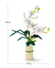 Stavebnice COIL play, kvety z kociek, phalaenopsis, Náhľad obrázku produktu 7