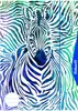 Pelikan Kombimappe 2in1, DIN A3, Zebra-Motiv Produktbild-Vorschau 3