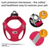 Harnais Curli Air - Mesh Red XL Voir les images du produit 2