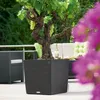 LECHUZA Pot de fleurs CUBE Cottage 50 Granit | Pot de Voir les images du produit 25