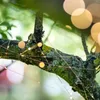 LUMILED Solar Lichterkette Aussen 12M 100x LED Kupferdraht Produktbild-Vorschau 4