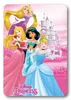 Disney Prinzessin Castle Polarfleecedecke 100x140cm Produktbild-Vorschau 1