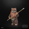 A Star Wars Black Series Wicket figure holding a spear against a black background. Anteprima dell’immagine prodotto