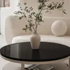 A modern living room setting with a couch, coffee table, and decorative plant. Produktbild-Vorschau
