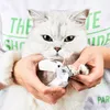 PETKIT Pet Cat Dog Sicherheitsnagelknipser mit Produktbild-Vorschau 5
