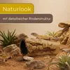Aquarium Deko Höhle Birkenrinde XL Terrarium Deko fürs Produktbild-Vorschau 4