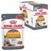 Royal Canin Hair & Skin 12x85g Nassfutter für ausgewachsene Produktbild-Vorschau 1