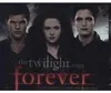 Twilight'Forever' Love Songs From The Twilight Sag Produktbild-Vorschau 3